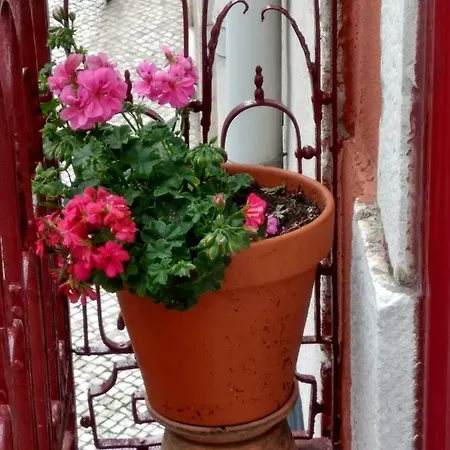 Charm And Space In Historic Апартаменты Лиссабон